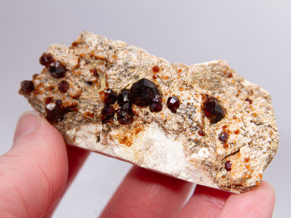 Spessartine Garnet on Microcline