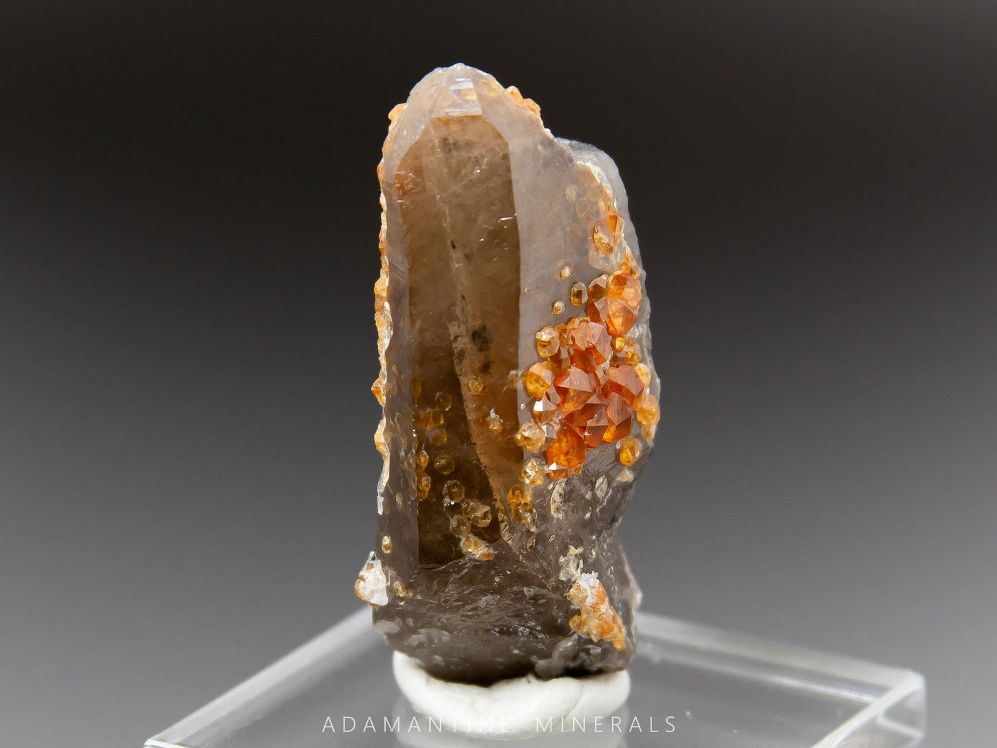 Spessartine Garnet on Smoky Quartz