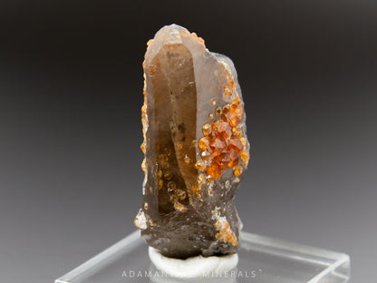 Spessartine Garnet on Smoky Quartz
