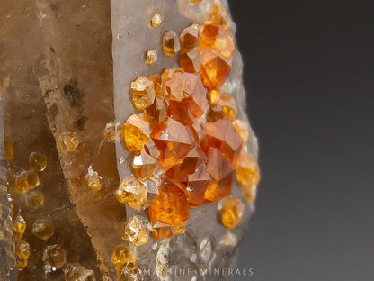 Spessartine Garnet on Smoky Quartz