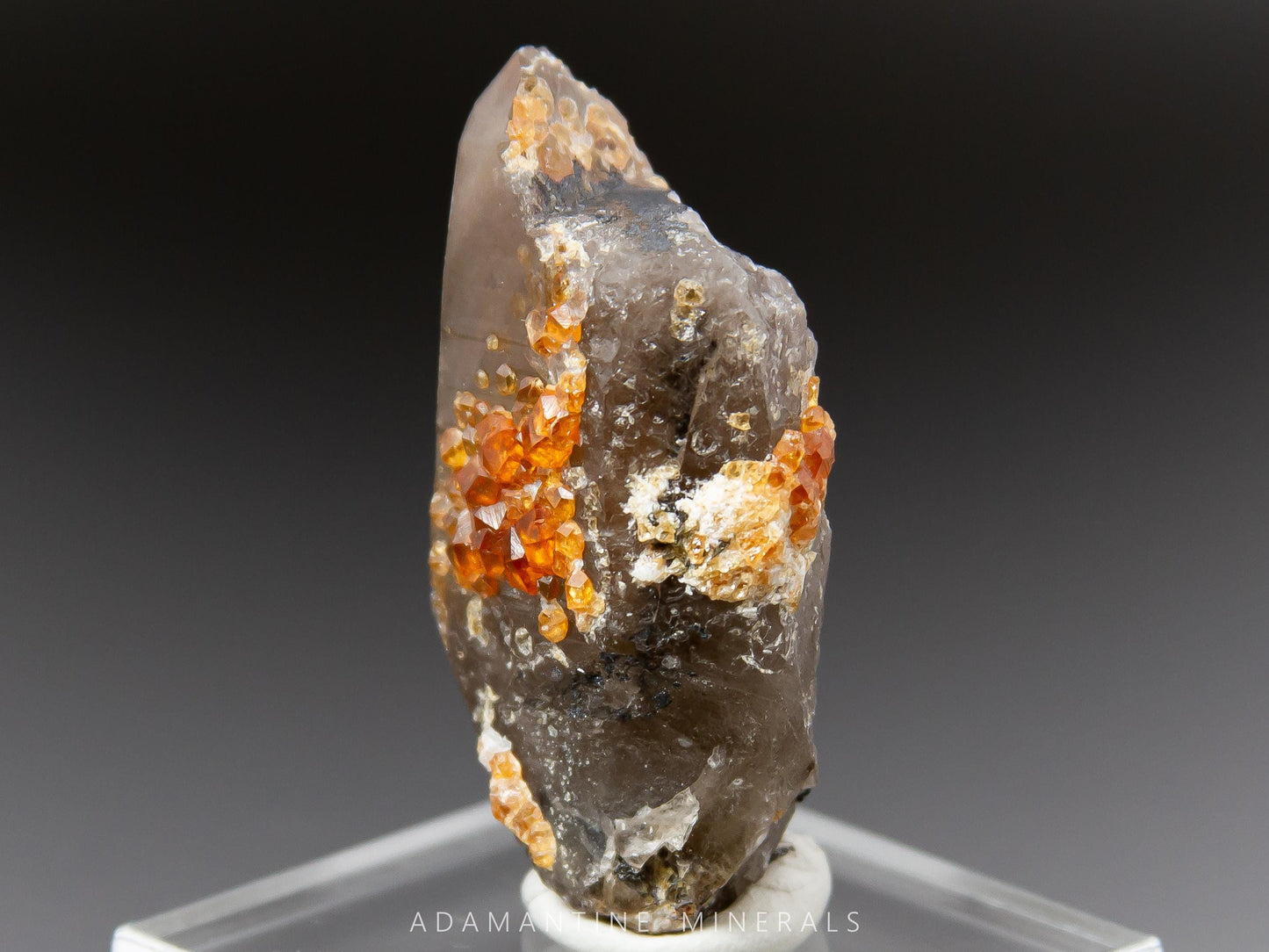 Spessartine Garnet on Smoky Quartz