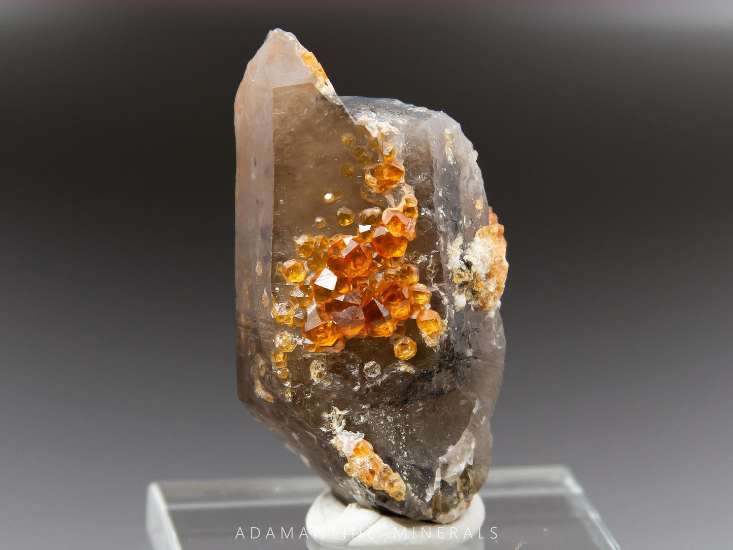 Spessartine Garnet on Smoky Quartz