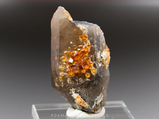 Spessartine Garnet on Smoky Quartz