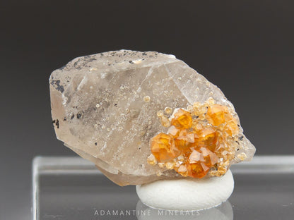 Spessartine Garnets on Smoky Quartz