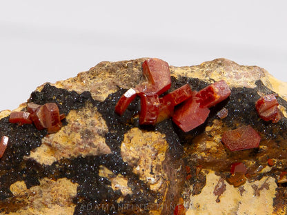 Vanadinite with Manganese Oxides