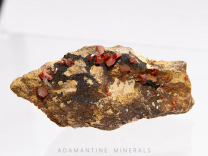 Vanadinite with Manganese Oxides