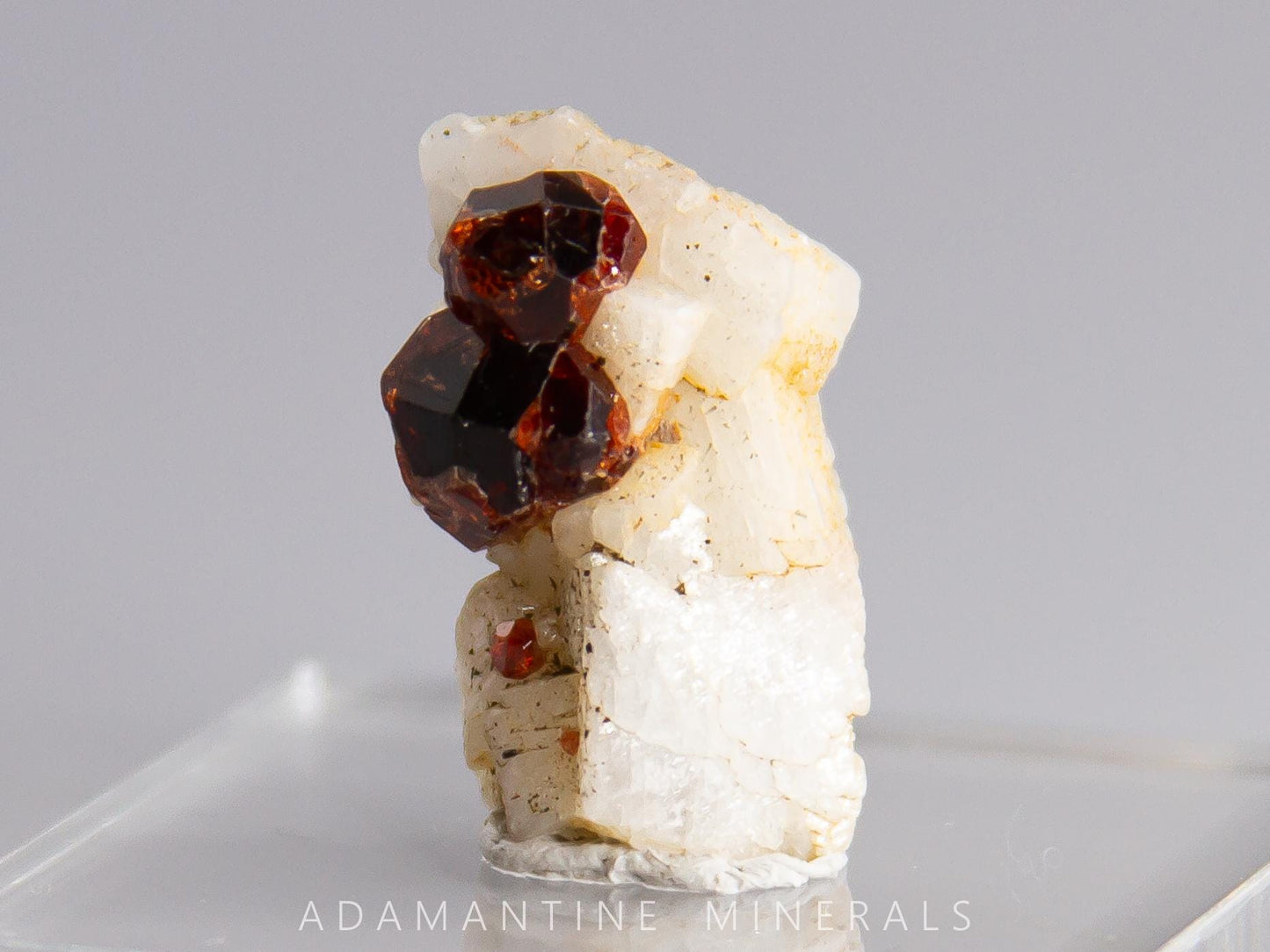 Garnet with Albite