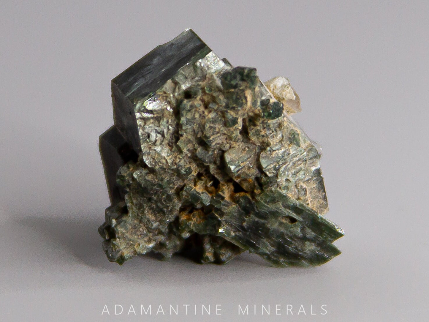 Actinolite