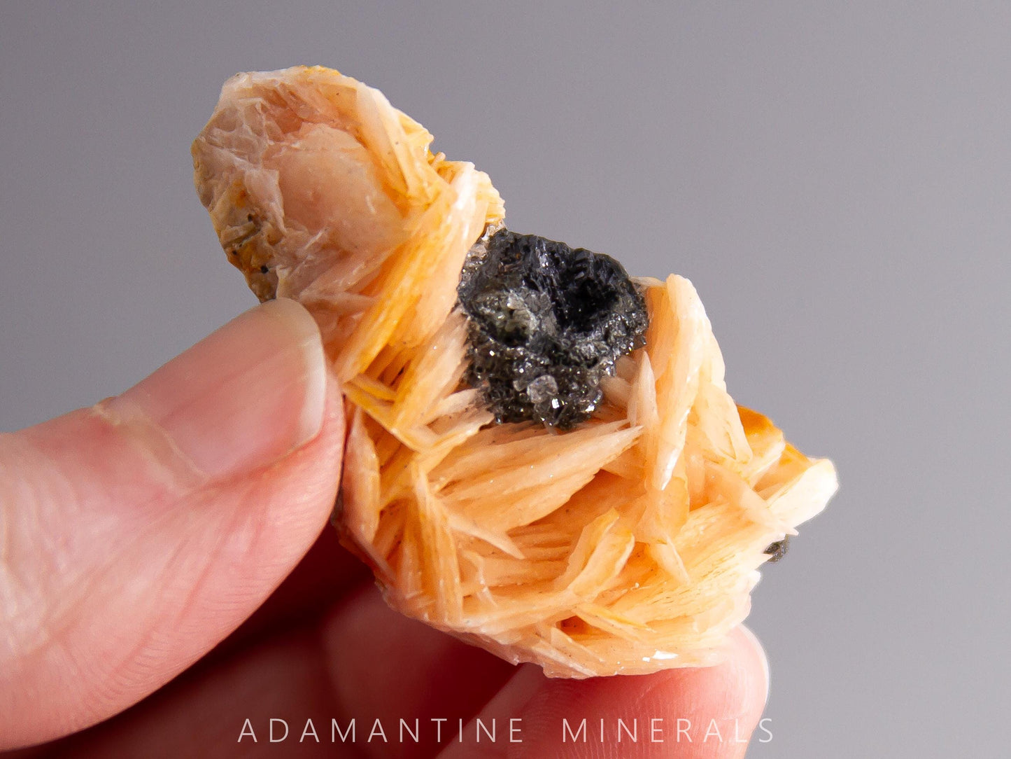 Barite and Galena