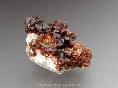 Mineral sample spessartine garnets of with red and brown crystals on a gray background, labeled 'Adamantine Minerals.'