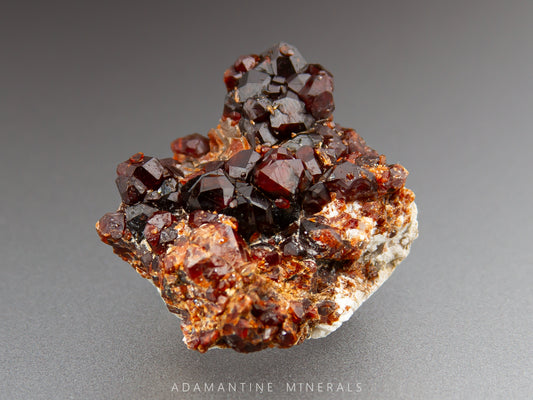 Cluster of red garnet crystals on a gray background with 'Adamantine Minerals' branding.