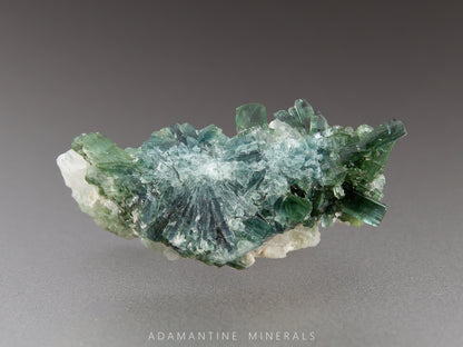 Tourmaline & Albite