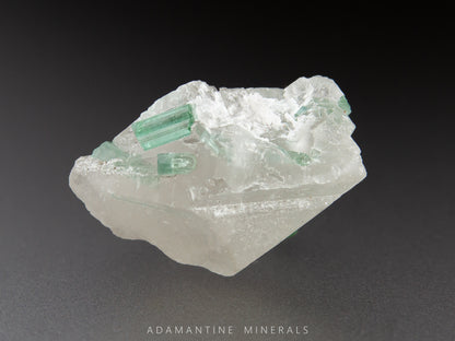 Tourmaline & Quartz