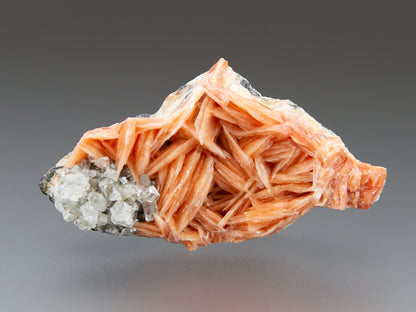 Barite with Cerussite