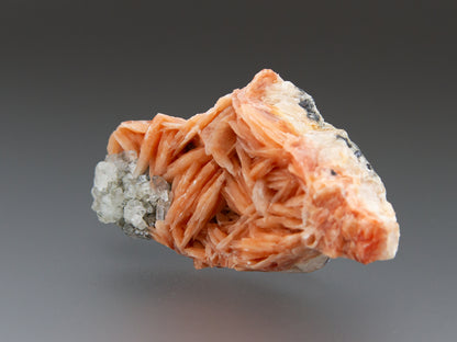 Barite with Cerussite