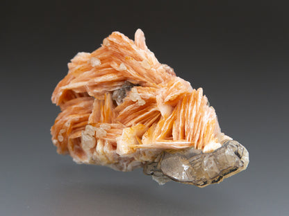 Barite with Cerussite