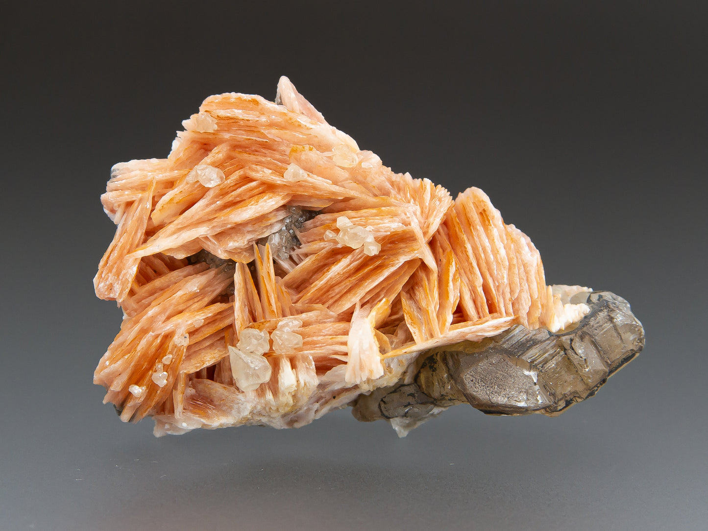 Barite with Cerussite