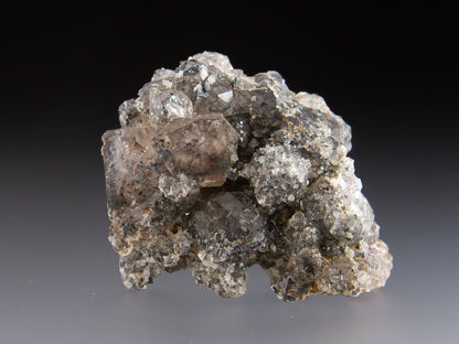 Quartz and Hematite Var. Specularite