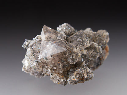 Quartz and Hematite Var. Specularite