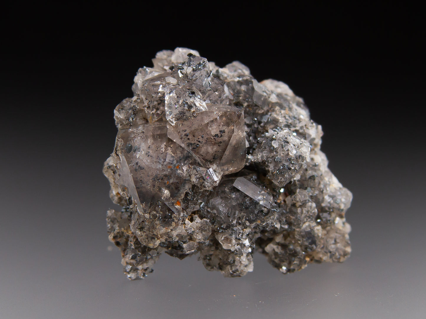 Quartz and Hematite Var. Specularite