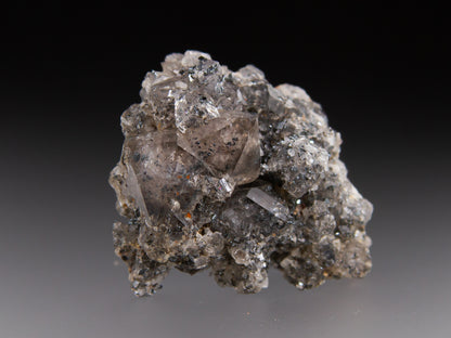Quartz and Hematite Var. Specularite