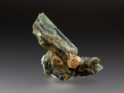 Actinolite