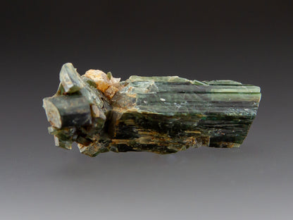 Actinolite