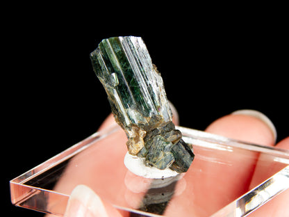 Actinolite