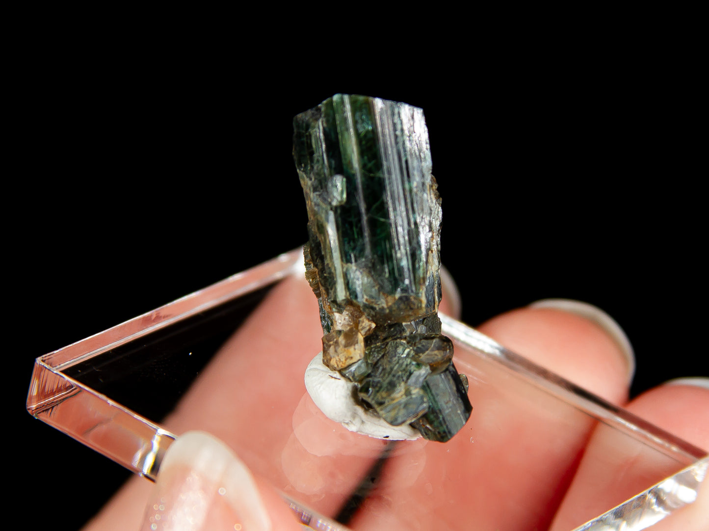 Actinolite