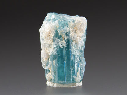 Tourmaline & Muscovite