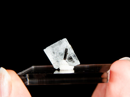 Beryl Var. Aquamarine & Tourmaline