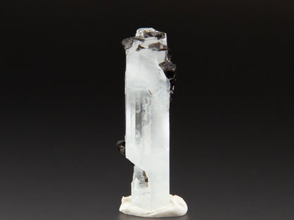 Beryl Var. Aquamarine & Tourmaline