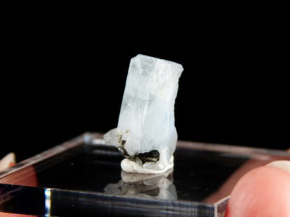 Beryl Var. Aquamarine & Tourmaline