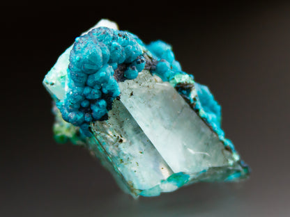 Chrysocolla & Quartz