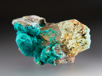 Chrysocolla & Quartz
