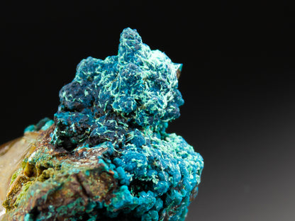 Chrysocolla & Quartz