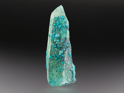 Chrysocolla & Quartz