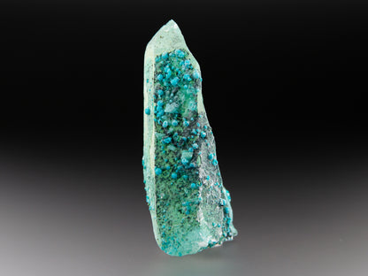 Chrysocolla & Quartz