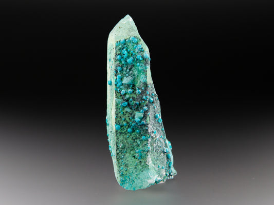 Chrysocolla & Quartz