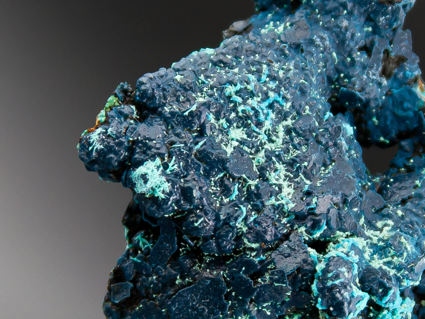 Chrysocolla & Quartz