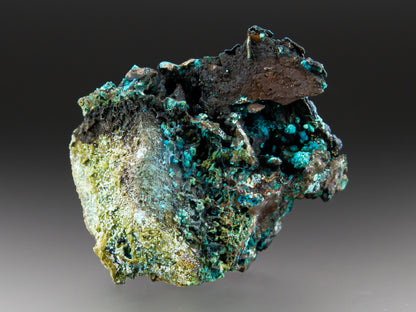 Chrysocolla & Quartz