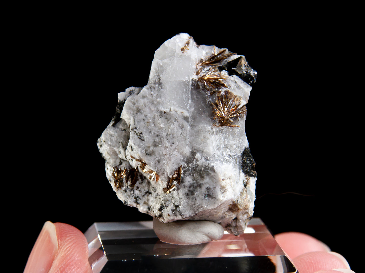 Astrophyllite