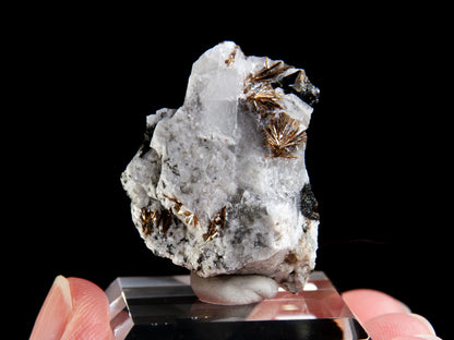 Astrophyllite