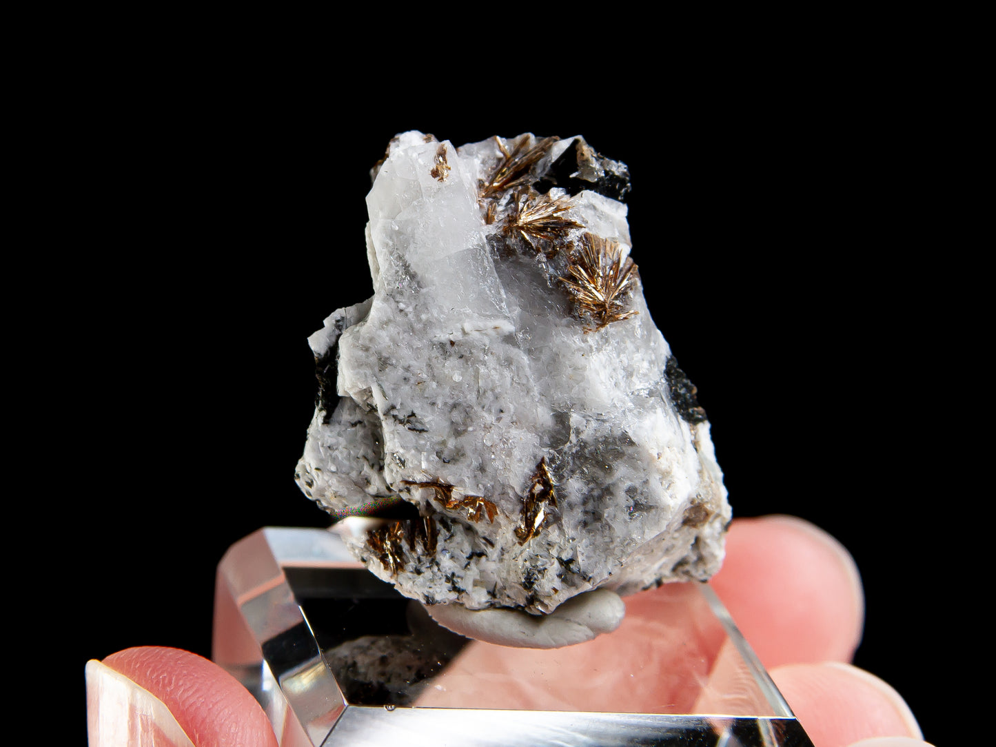 Astrophyllite