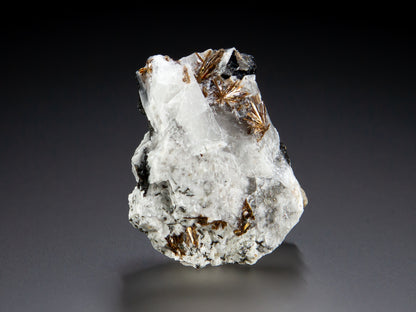 Astrophyllite