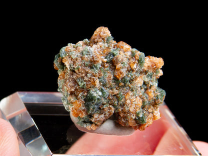Grossular  and Actinolite