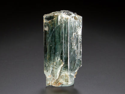 Actinolite