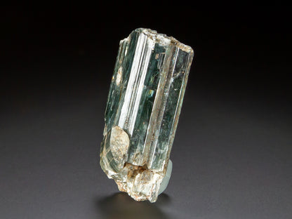Actinolite