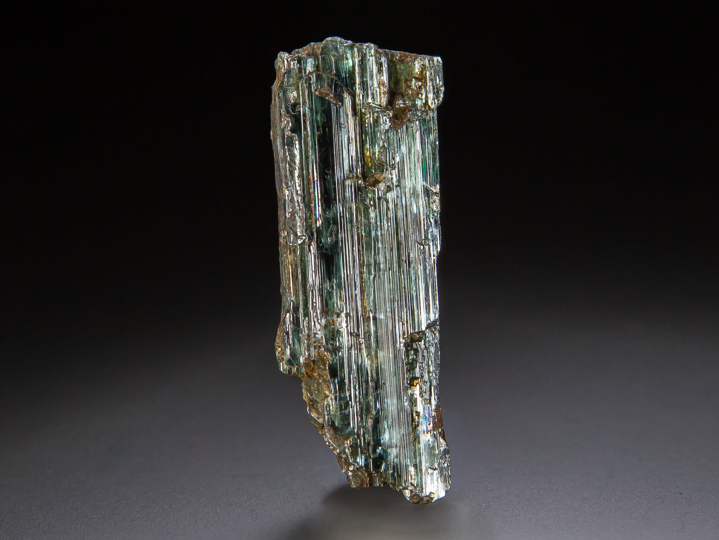 Actinolite