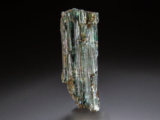 Actinolite